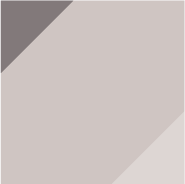 Gris Perla 5001